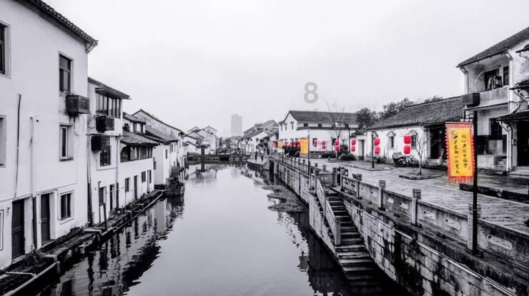 动物帮帮忙保卫家园